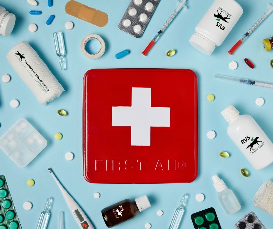 Your Horse First Aid Kit - Are You Prepared for the Unexpected?