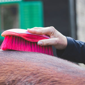 Importance of grooming your horse regularly