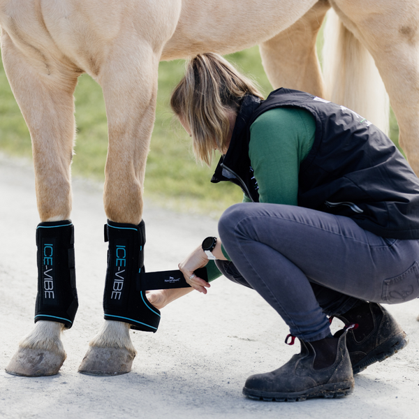 WHY CHOOSE ICEVIBE BOOTS? Racetrack Veterinary Services
