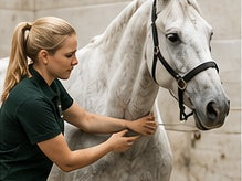 Physical Health Examination