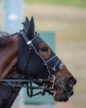 Hidez Compression Hood with Zipper and Ears BLACK