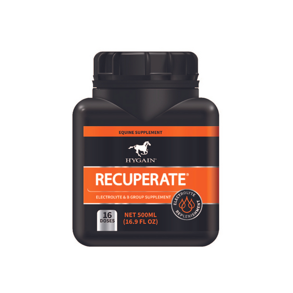 Hygain Recuperate Racetrack Veterinary Services