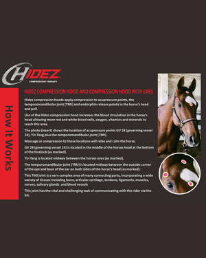 Hidez Compression Hood with Zipper and Ears BLACK