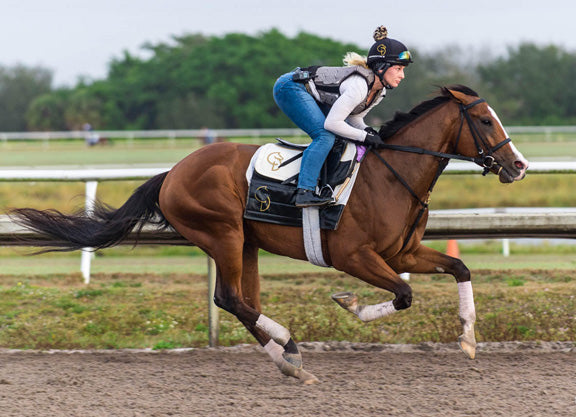 Racehorse PPEs