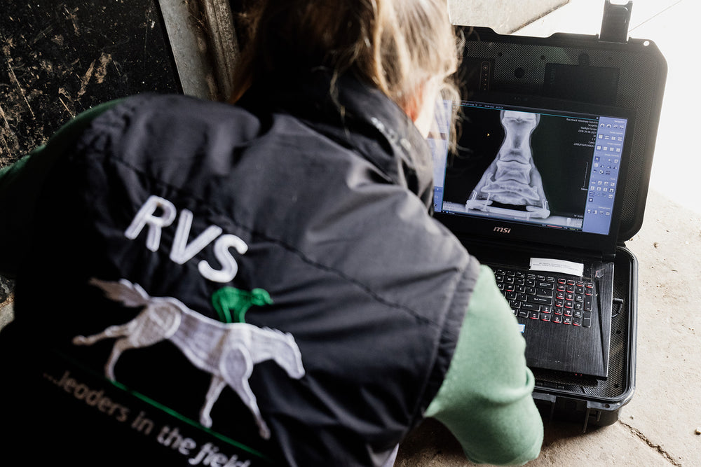 Survey and Repository X-Rays
