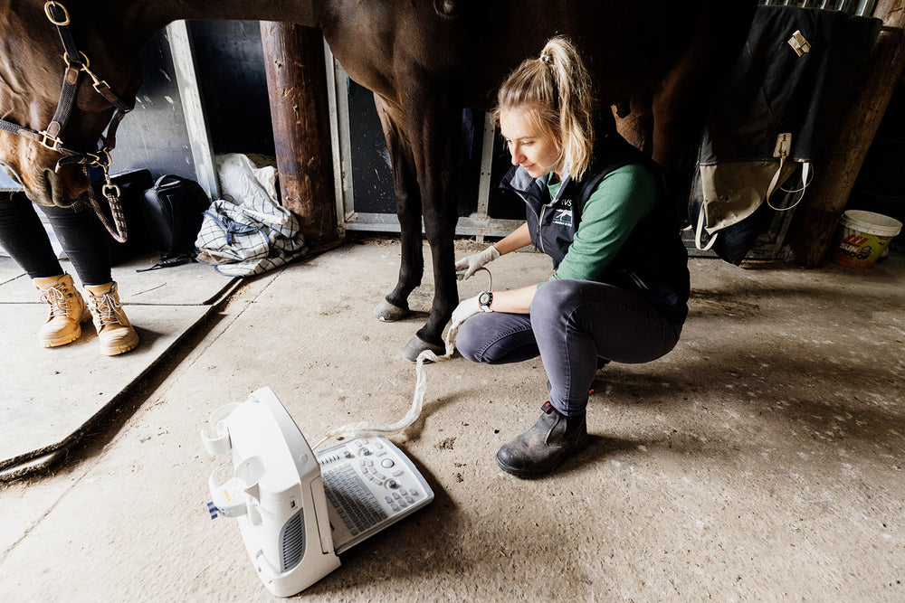 Ultrasound Scanning