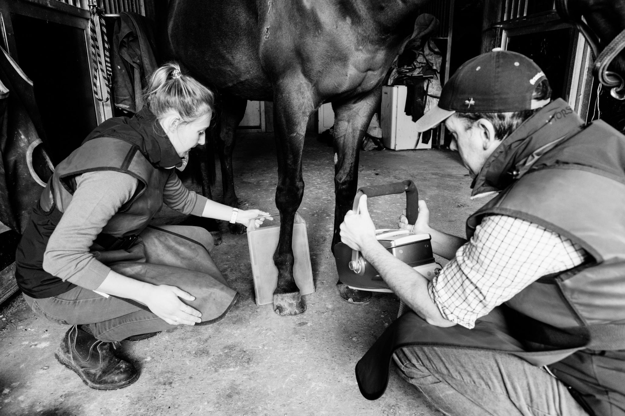 Horse vet hot sale supplies online