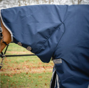 Amigo 1200D Integrated Turnout 50g