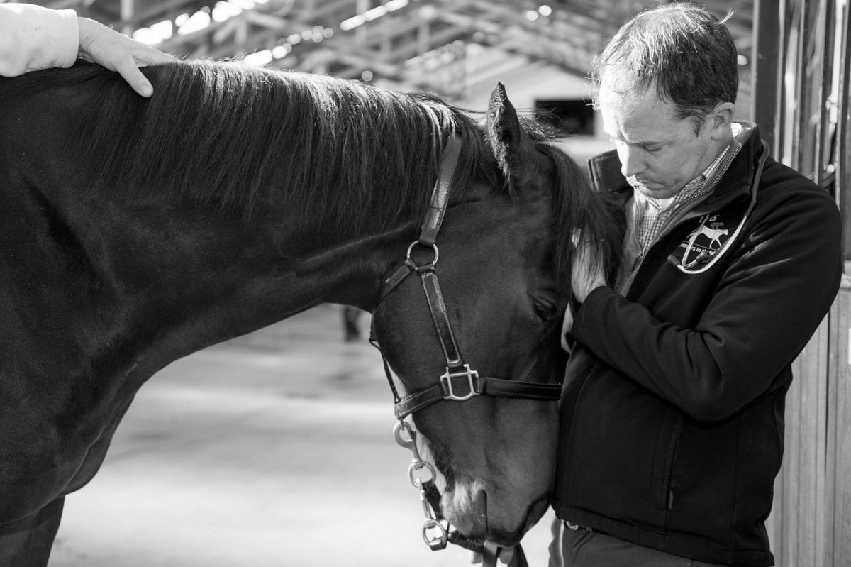 Equine Vet Horse Supplies Horse Vet Equestrian Supplies