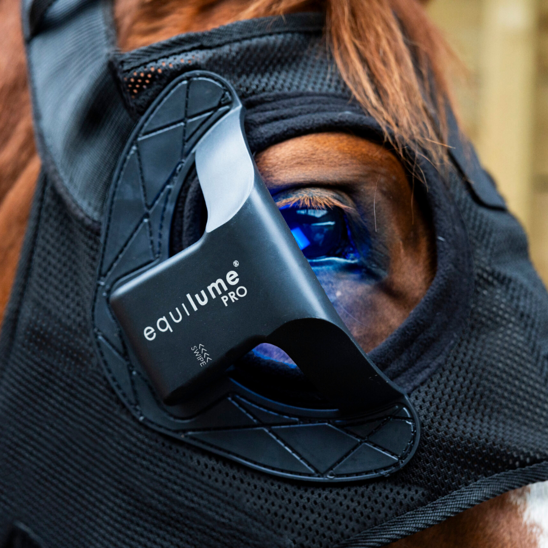Equilume Pro Light Mask - Racetrack Veterinary Services