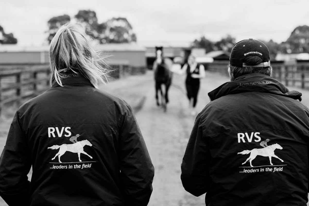 Equine Vet Horse Supplies Horse Vet Equestrian Supplies