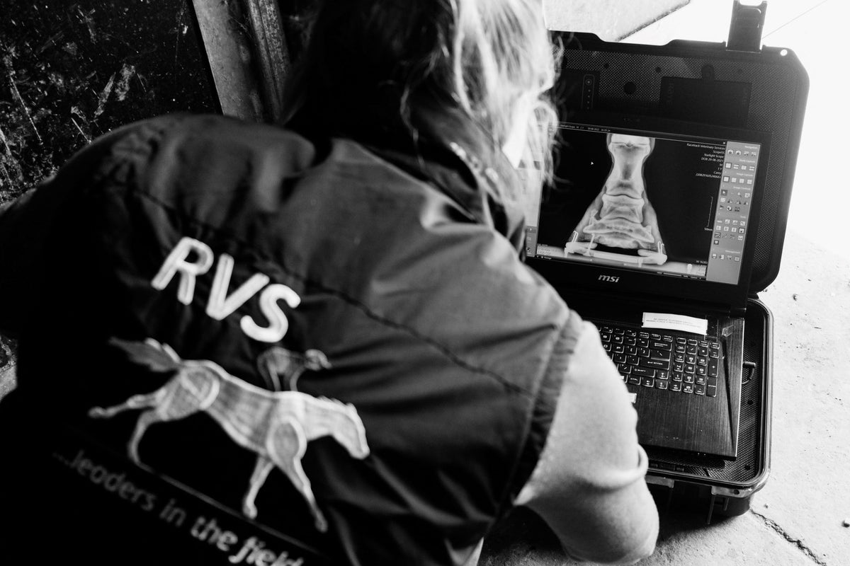 Equine Vet Horse Supplies Horse Vet Equestrian Supplies