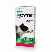 4cyte, dog, canine, epiitalis forte, feed additive, joint health