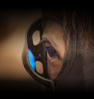 Equilume Cashel Rechargeable Mask
