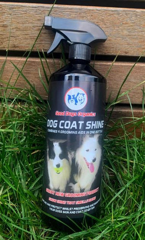 Good Dogs Organics Shampoo