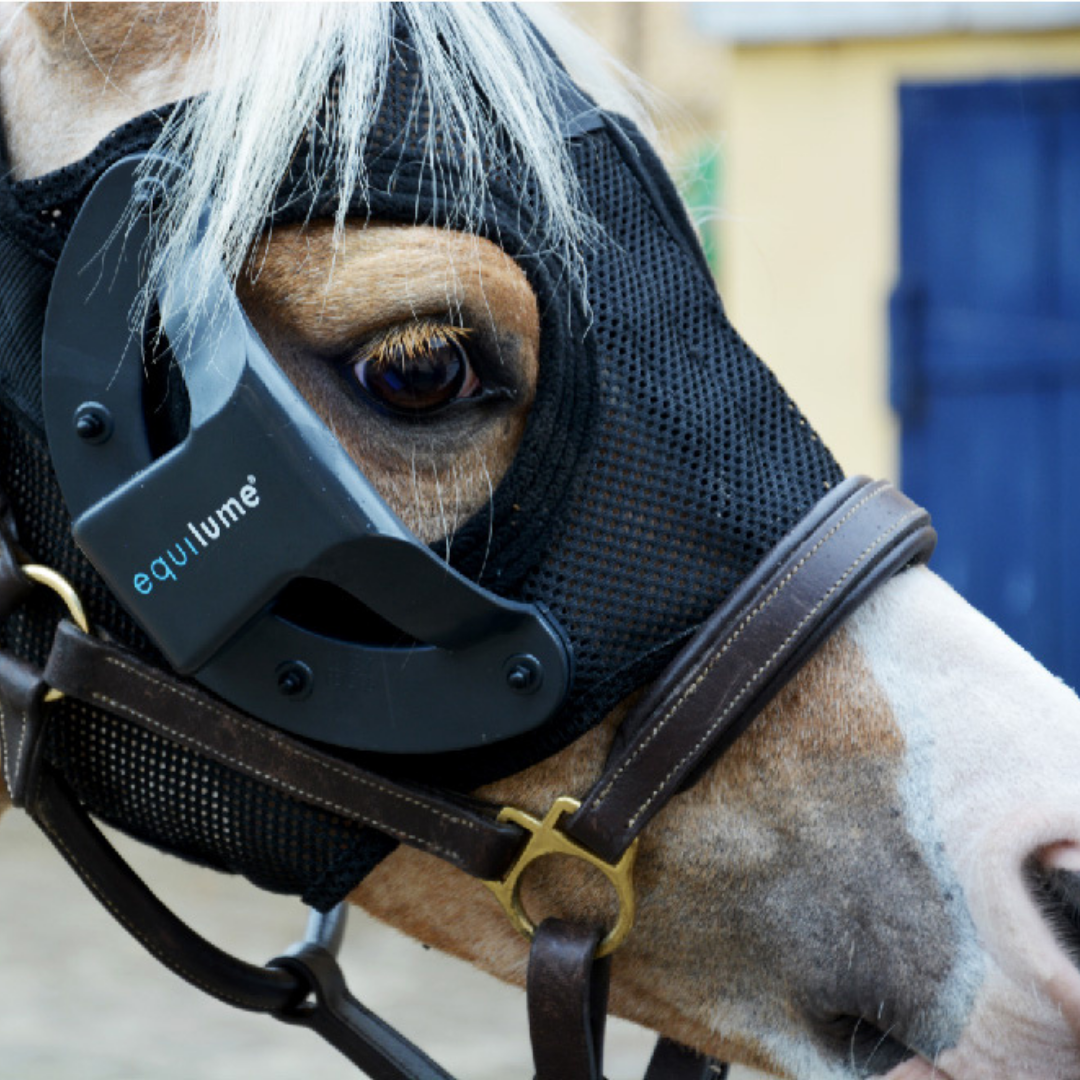 Equilume Curragh Pony