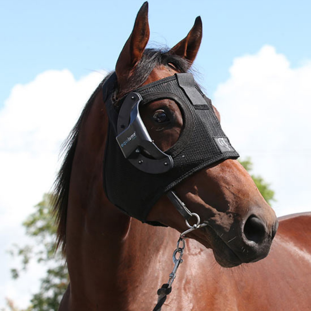 Equilume Curragh Replaceable