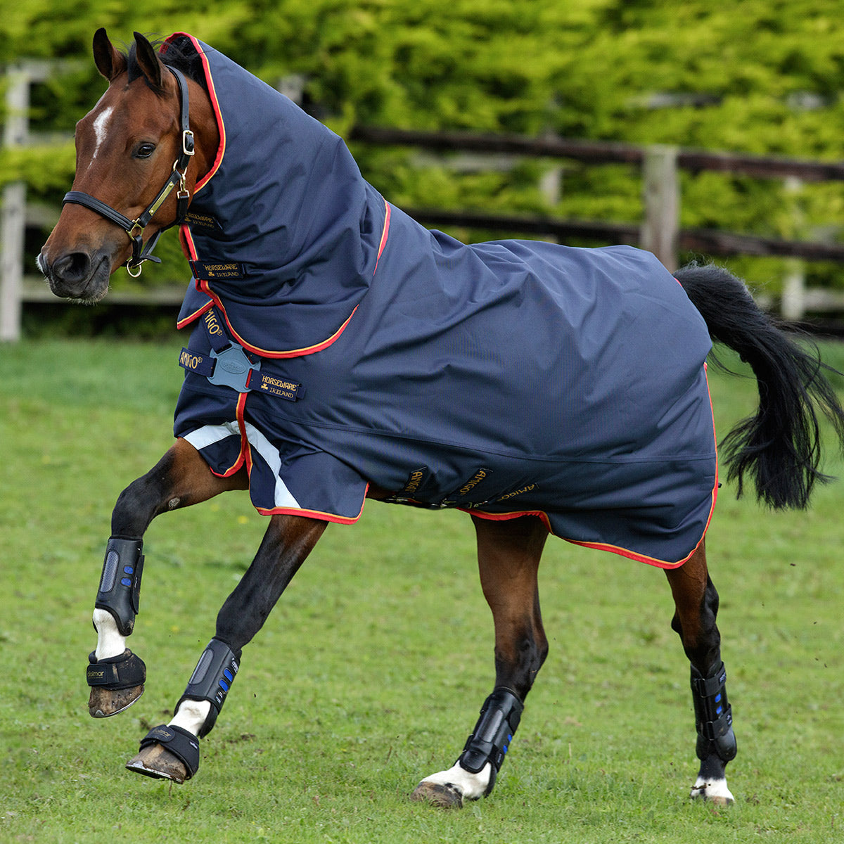 Eco Friendly, Horseware, Horse rugs, Winter, Fill, No Fill, Ireland, Import, blue, teal, navy, summer, winter
