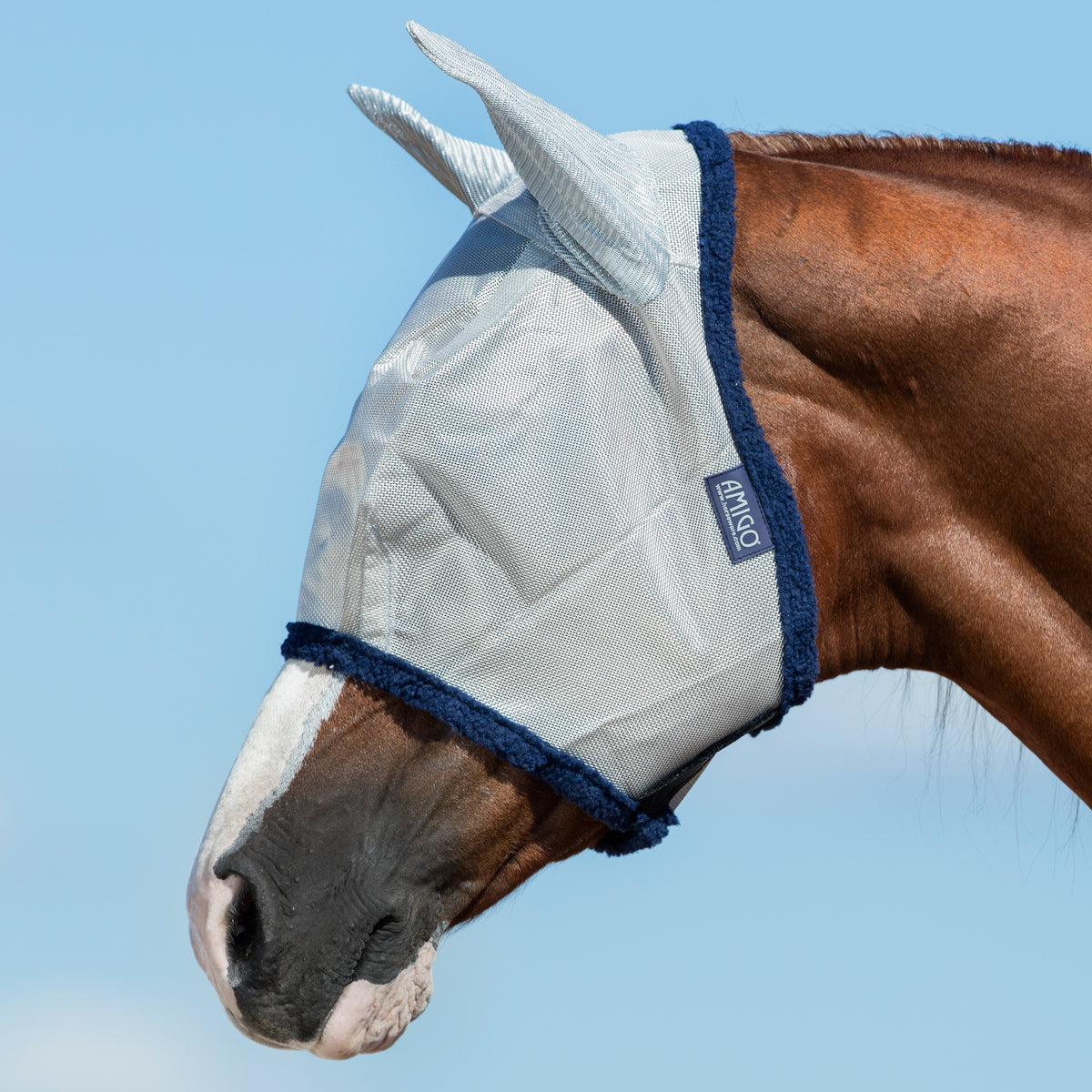 Amigo Fly Mask Racetrack Veterinary Services