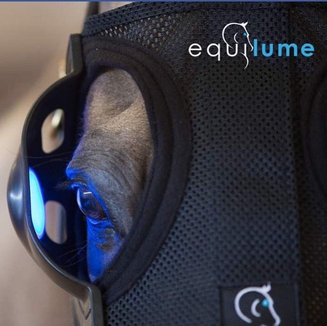 Equilume Belfield (seasonal)