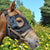 Equilume Cashel Rechargeable Mask