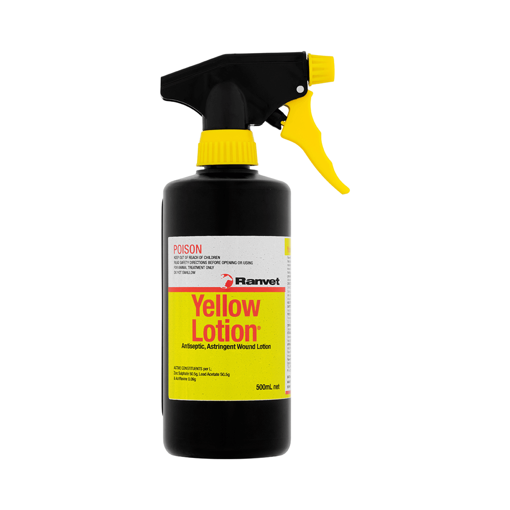Yellow Lotion