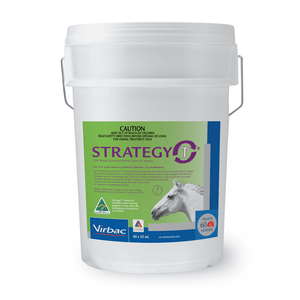 Strategy-T Wormer Paste Stable Pail x 60 Tubes