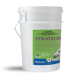 Strategy-T Wormer Paste Stable Pail x 60 Tubes